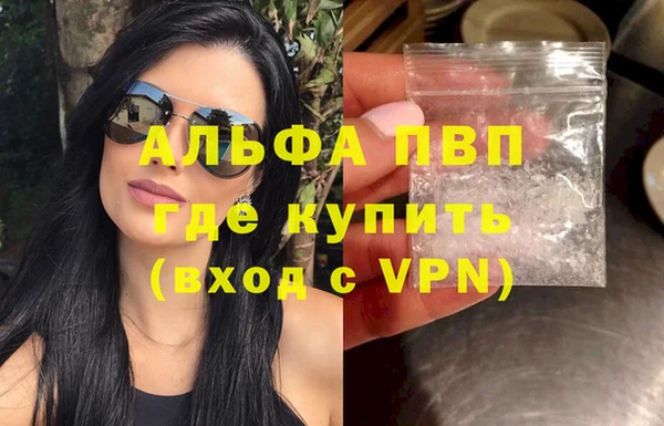 спайс Вяземский