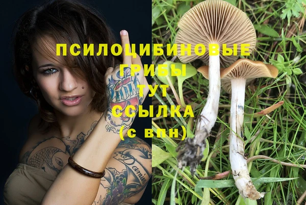 а пвп мука Вязьма