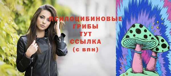 а пвп мука Вязьма