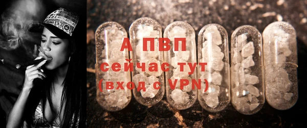 спайс Вяземский