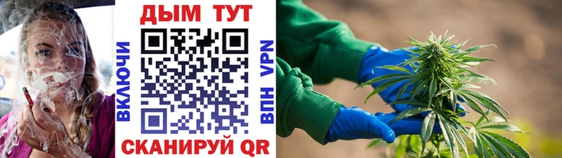 кракен рабочий сайт  Верхняя Пышма  Каннабис THC 21% 